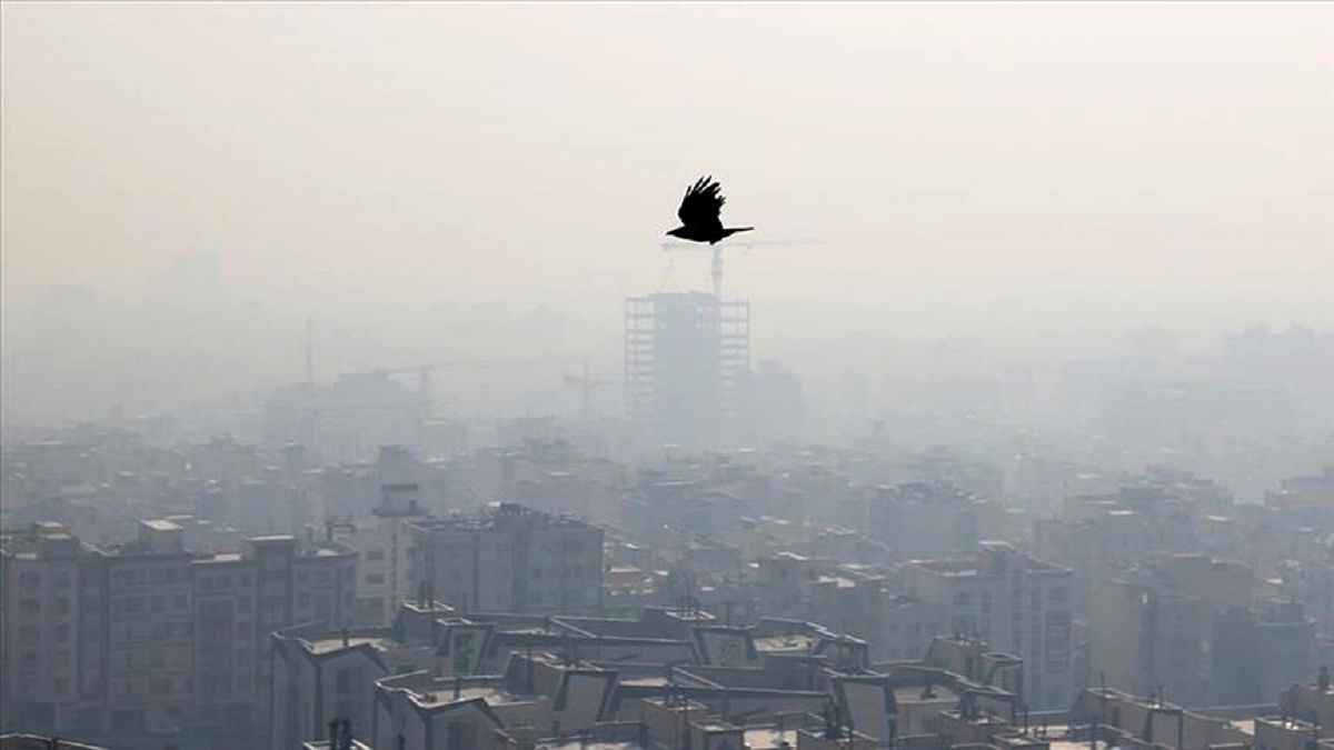 تهران امروز هم آلوده است/ دوای درد آلودگی هوای تهران چیست؟