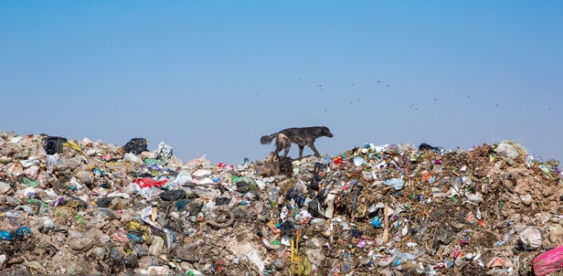 شهرداری اصفهان کاهش ۲۰۰ تُن زباله شهری را هدفگذاری کرد