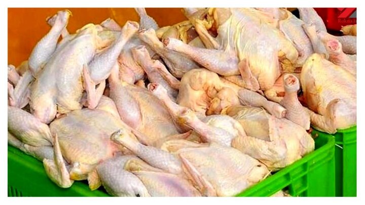 راه‌اندازی چهار زنجیره تولید گوشت مرغ در استان اصفهان