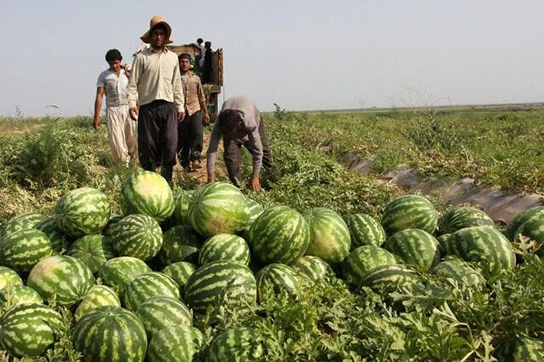 پاسخ مقام ایرانی به ادعای جنجالی نماینده روسیه
