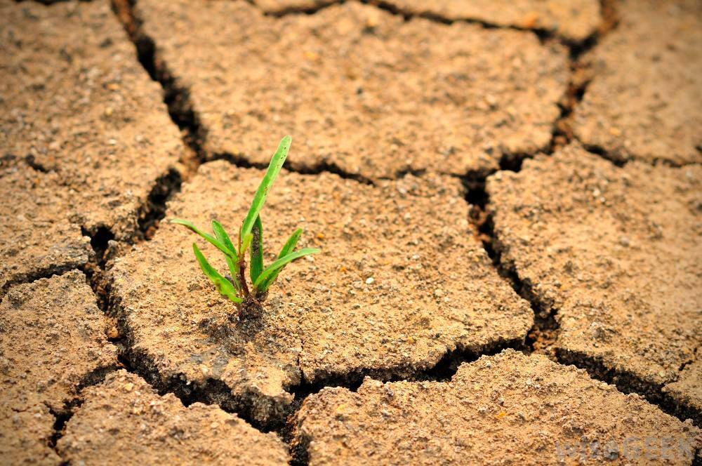 اصفهان با بحران بیابان‌زایی می‌جنگد؛ بودجه ۳۰ میلیاردی کافی نیست