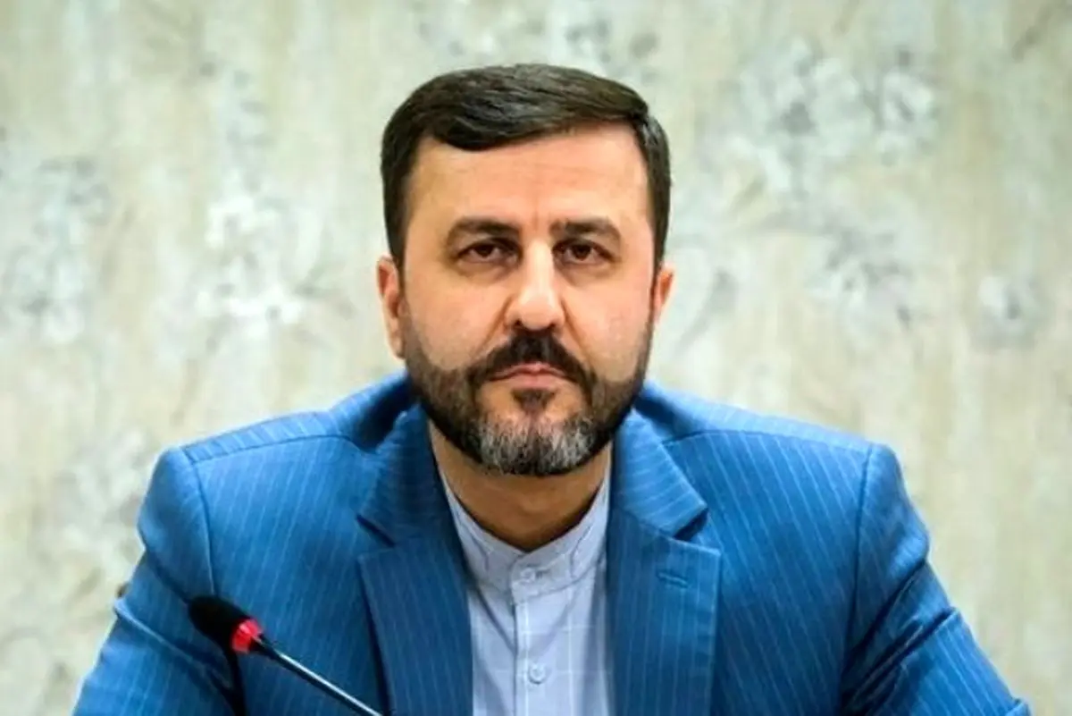غریب آبادی: تیم آژانس به ایران می‌آید اما از تاسیسات بازدید نمی‌کند