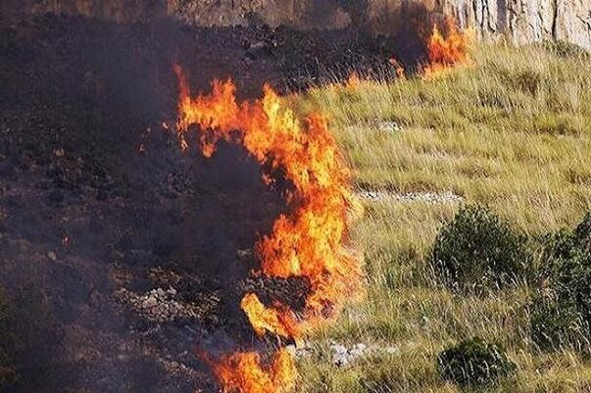 محیط زیست: آتش‌سوزی در بخش عراقی تالاب هورالعظیم همچنان ادامه دارد / آتش در بخش ایرانی مهار شده
