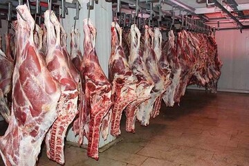 واردات گوشت گرم گوساله با نرخ مصوب 598 هزار تومان از پاکستان وبرزیل