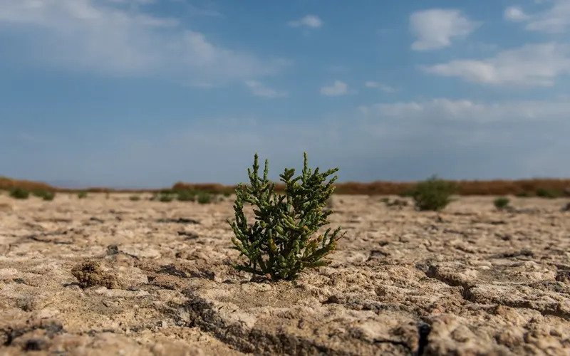 بیابان‌زایی به شهر اصفهان رسید؛ آلودگی بستر زاینده‌رود به فلزات سنگین