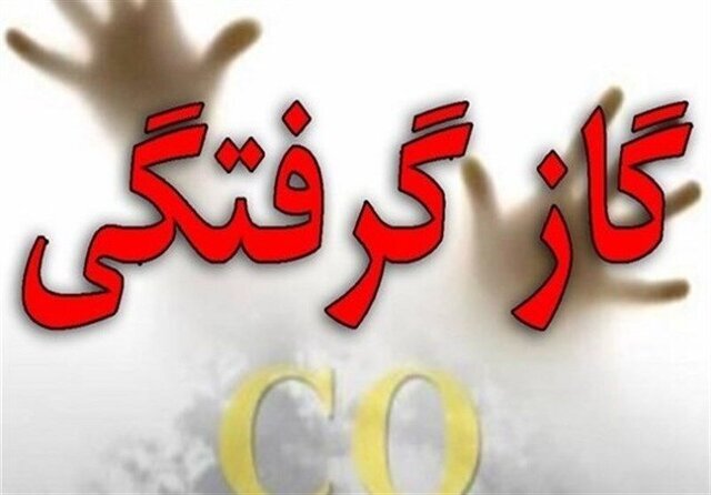 گازگرفتگی ۵ خانم در کارگاه قالیبافی در کاشان