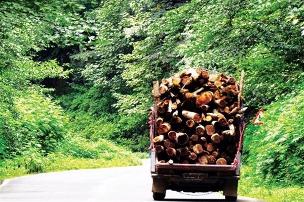 آماده‌باش یگان حفاظت منابع طبیعی اصفهان ؛۵تن چوب قاچاق کشف شد