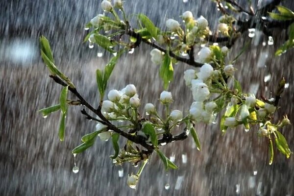 رگبار و رعد و برق اصفهان را فرا گرفت؛ کاهش ۵ درجه‌ای دما