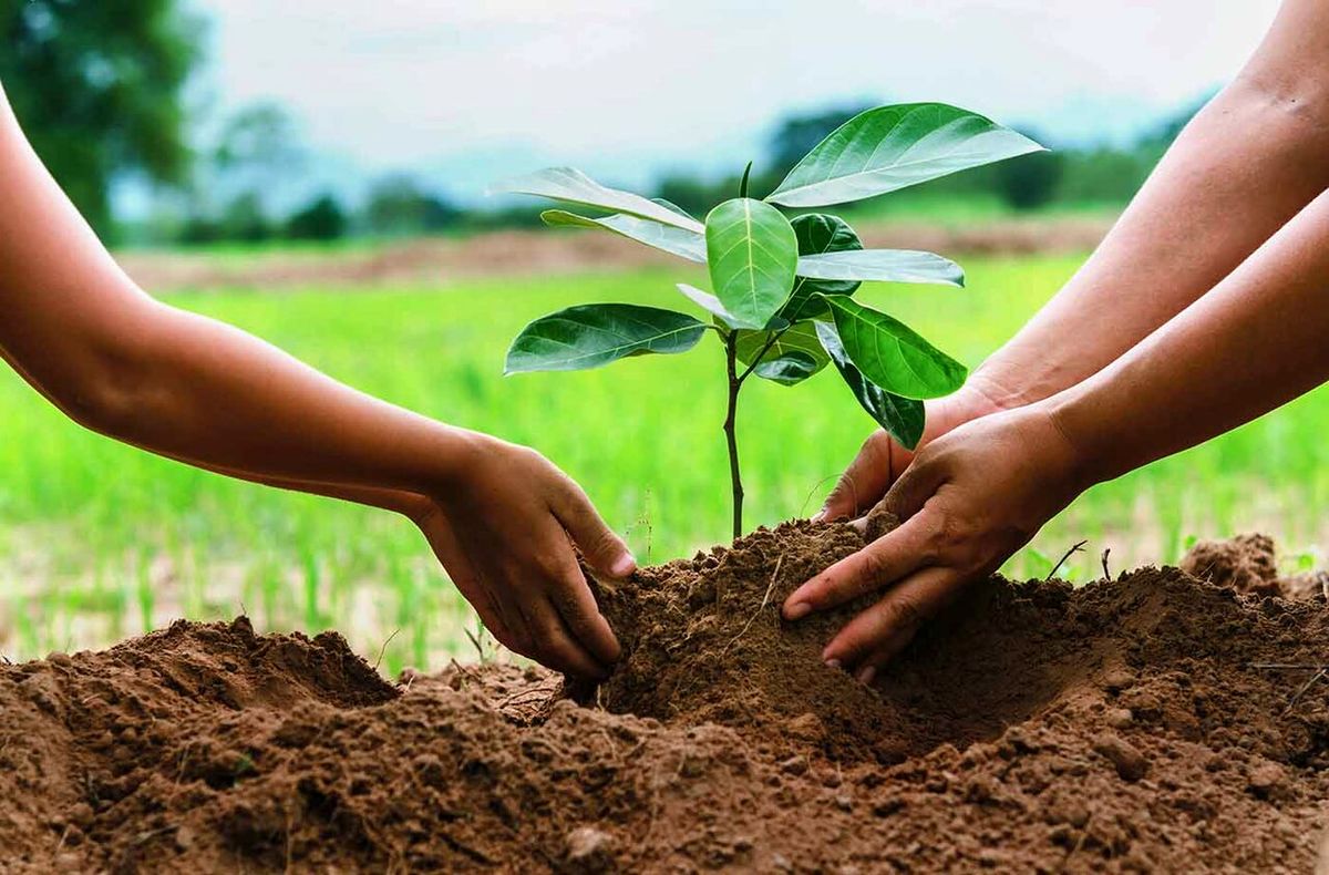 اجرای ۱۱۰ پویش منابع طبیعی در اصفهان همزمان با جنگ اخیر