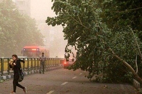 شیشه فروش: تندباد و گرد و خاک تا دوشنبه مهمان اصفهان است